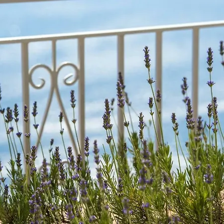 Casa vacanze La Culla Del Sole Praiano